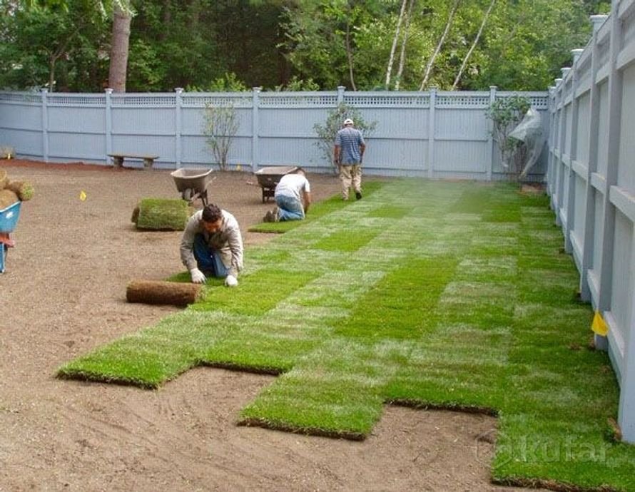 Affordable Sod Installation