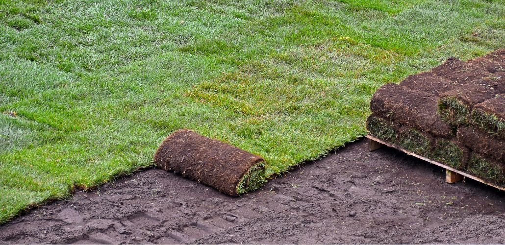 What-to-Consider-Before-Buying-Sod-Cleanup-Equipment